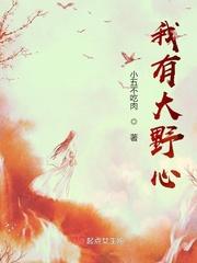 曾经我野心