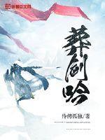 男主叶无忌