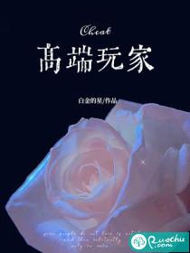 什么叫高端玩家