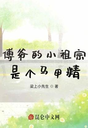 傅爷的小祖宗是个马甲精TXT免费