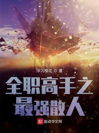 全职高手职业散人