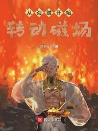 海贼之转动磁场