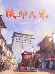 朕即大宋有声