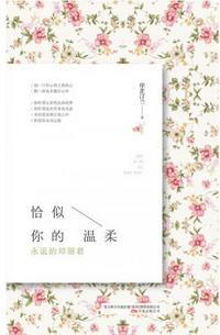 恰似的你的温柔歌词