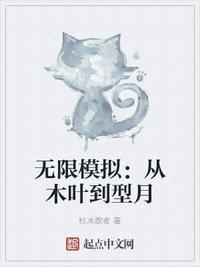 无限模拟从木叶到型月起点