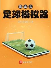 足球模拟器中文版