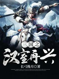 三国之汉室再兴阅读