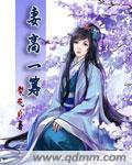 妻高一筹作者 梨花白
