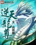 逆天龙尊陆鸣免费观看全集