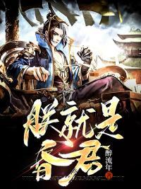 朕就是这样的昏君时九