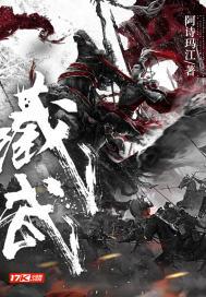 藏武传