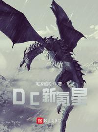 DC新氪星免费观看
