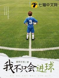 我不只会进球华凡