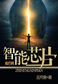 智能芯片净化器