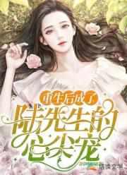 重生后成了陆先生的心尖宠未删减