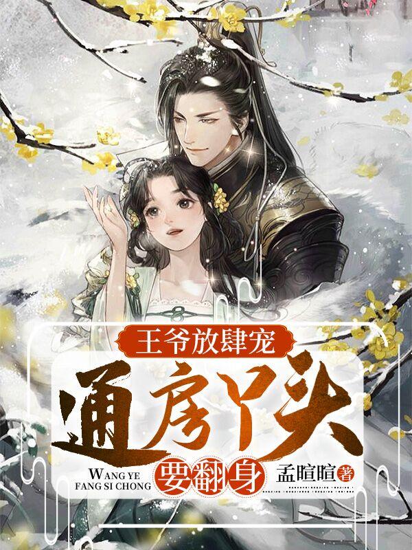 王爷心尖宠二等丫鬟要上位
