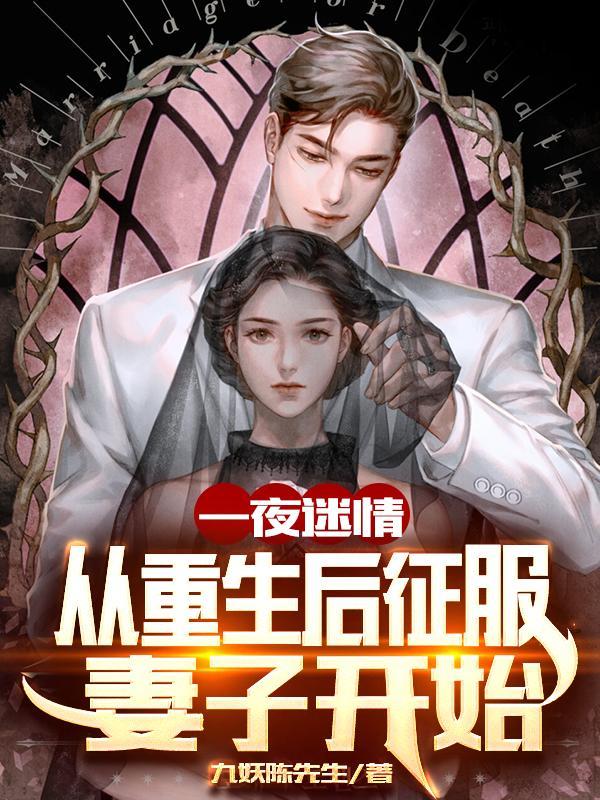 一夜迷情美剧