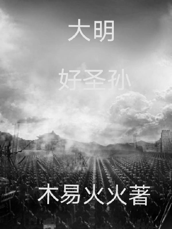 大明好圣孙全集