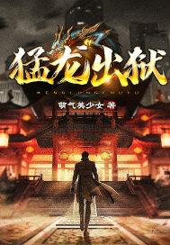 猛龙出狱叶天