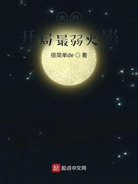 木叶火影之最强弟控