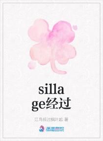 sillage什么意思