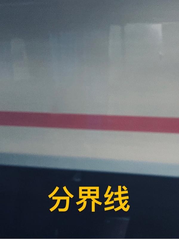 分界线黑蝴蝶陶小芳结局