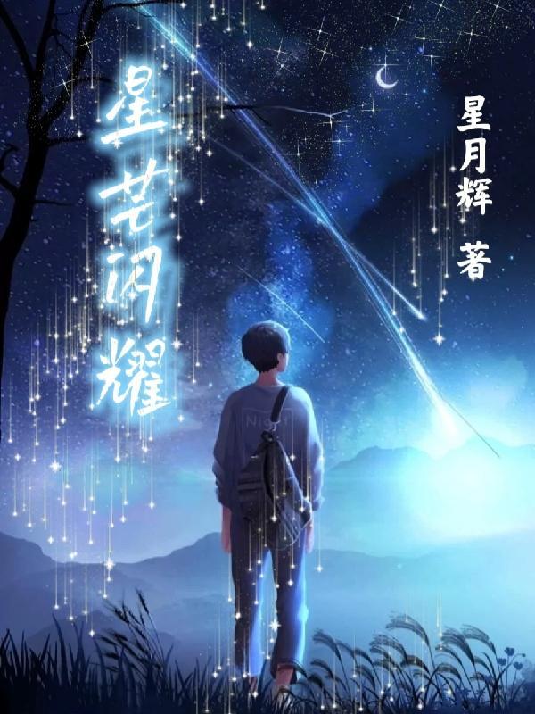 星芒闪耀之处npc不见了