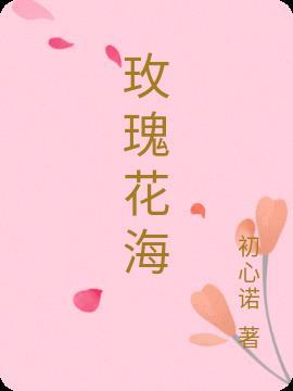 玫瑰花海高清壁纸