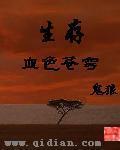 血色苍穹6