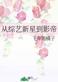 从综艺开始的