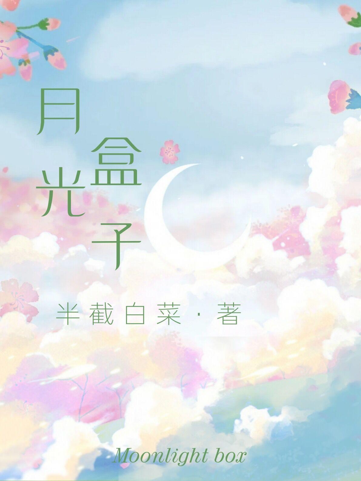 月光盒子视频播放器