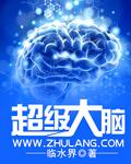 超级大脑翻译