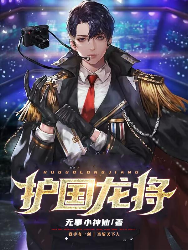 护国龙将叶飞