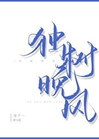 独树晚风TXT资源链接