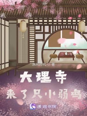 ciao大理寺日志