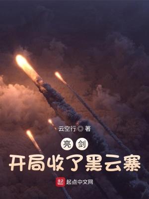 亮剑开局收了黑云寨棉花糖