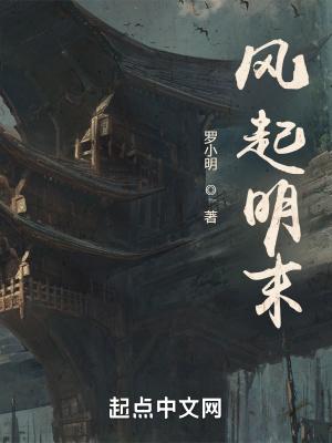 风起明末无弹窗 笔趣阁全本