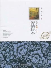 爱情标本简谱完整版