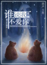 不爱你短剧合集