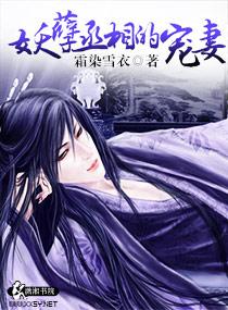 妖孽丞相的宠妻完结
