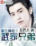重生神雕之我是大武