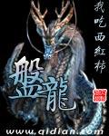 盘龙机场属于哪个城市