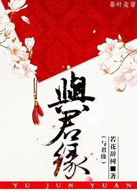 与君缘浅不负相思在线阅读