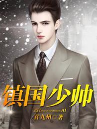 镇国少帅林宇