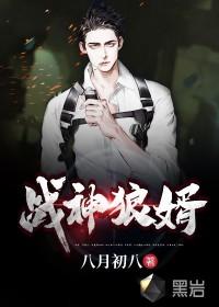 战神狼婿叶新境界划分大全