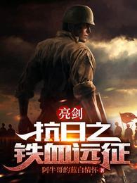 亮剑抗日之铁血远征笔趣