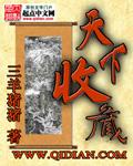 天下收藏集团董事长羽佳