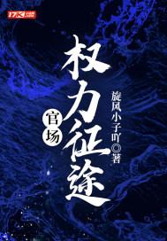 权力征途官场