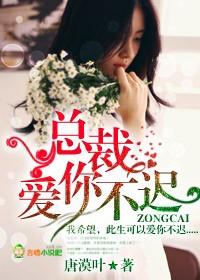 总裁爱你不迟全文阅读最新章节