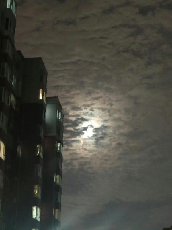重生末世我全家都是大佬